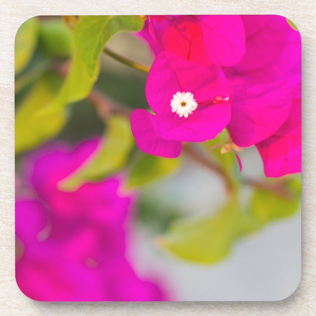 Porta-copo flores de bouganvilla (Frente)