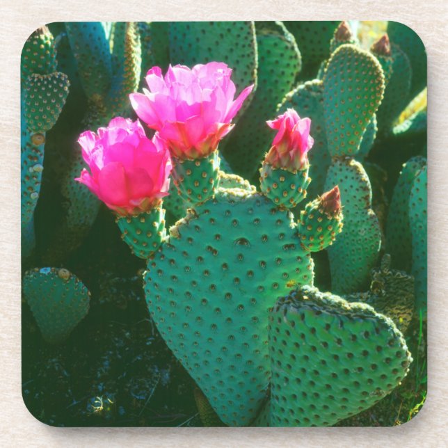 Porta-copo Flores de Cactus Beavertail (Frente)