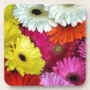 Porta-copo Flores de gerber coloridas