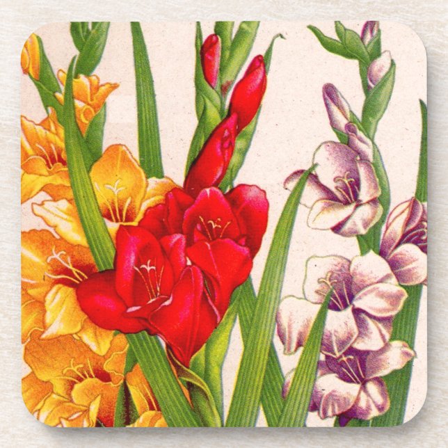 Porta-copo flores de gladiola flores de gladioli (Frente)