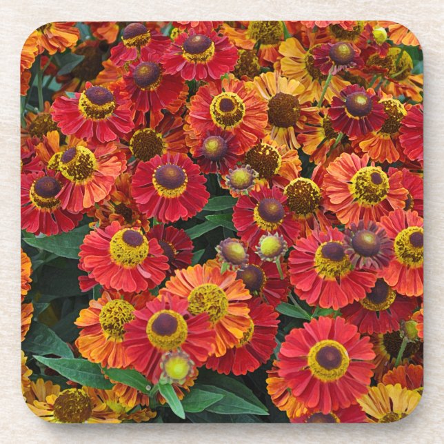 Porta-copo Flores de hélio vermelho e laranja (Frente)