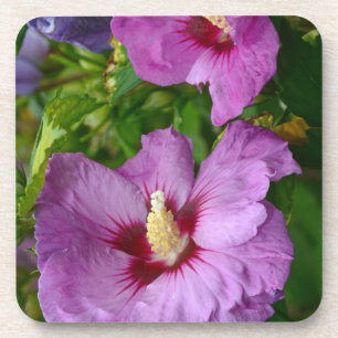 Porta-copo Flores de hibisco roxas