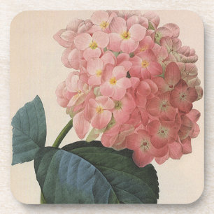 Porta-copo Flores De Jardim Vintage, Hidrangea Hortensia Rosa