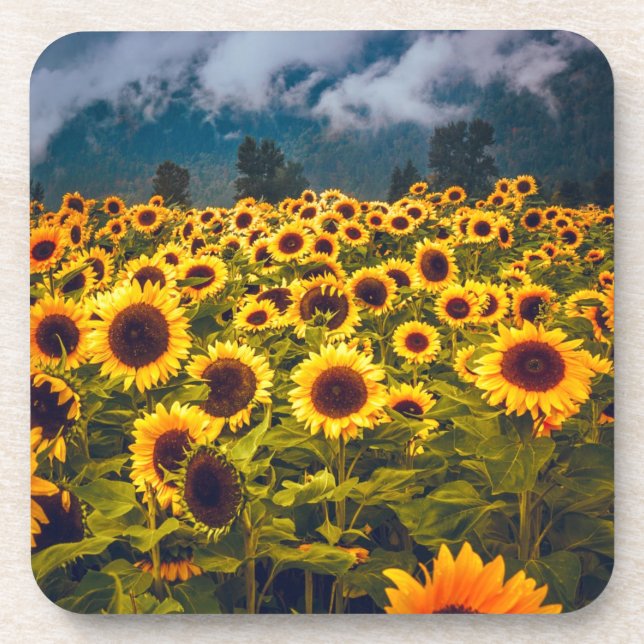 Porta-copo Flores de Paisagem de Girassol Amarelo (Frente)