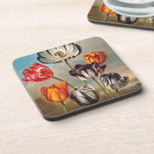 Porta-copo Flores de Tulipas Variegadas Antigas em uma Paisag