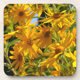 Porta-copo Flores en mi hierbas " flores em minhas ervas dani