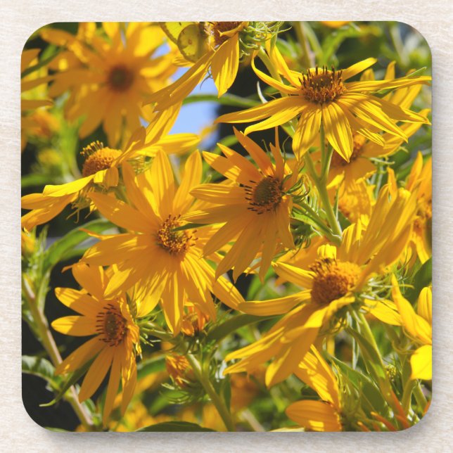 Porta-copo Flores en mi hierbas " flores em minhas ervas dani (Frente)