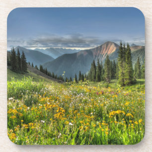 Porta-copo Flores Flores selvagens Silverton Colorado