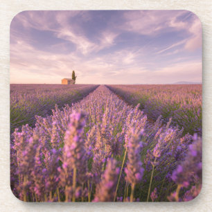 Porta-copo Flores França Lavanda do Sul