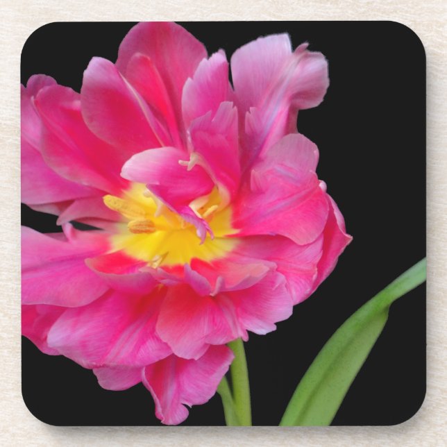 Porta-copo Flores Fumantes Chás Parabéns de Festas Amar (Frente)