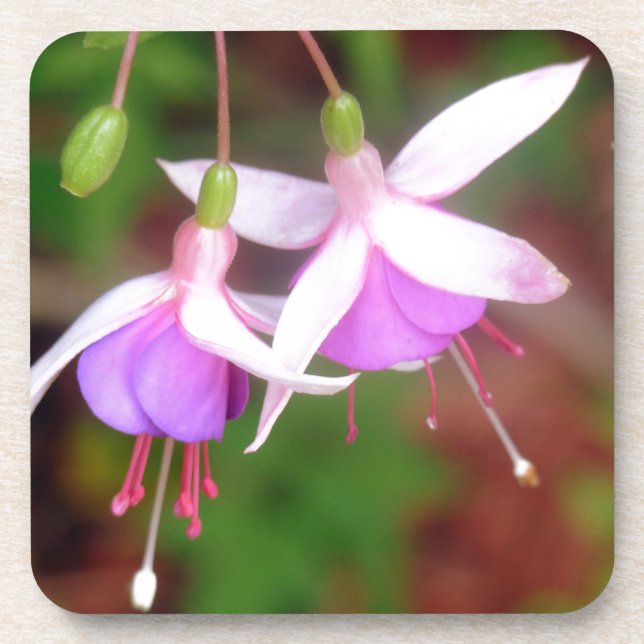 Porta-copo Flores Fuschia (Frente)