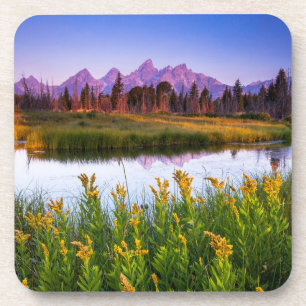Porta-copo Flores   Grand Teton National Park, Wyoming