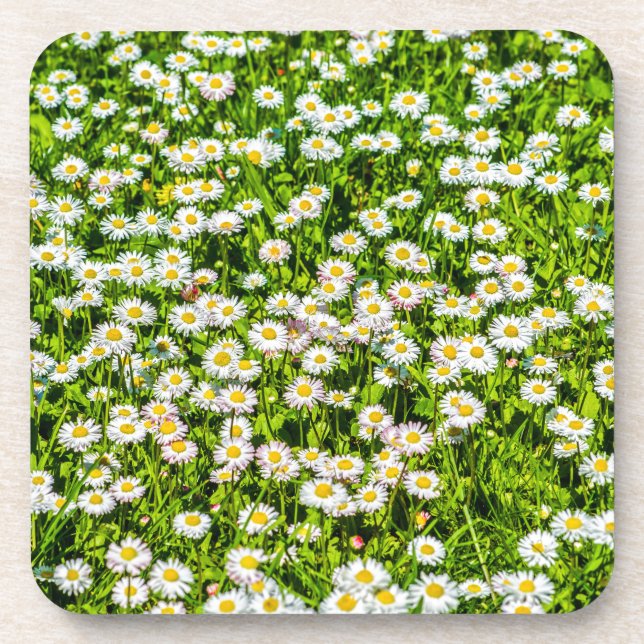 Porta-copo Flores margaridas (Frente)