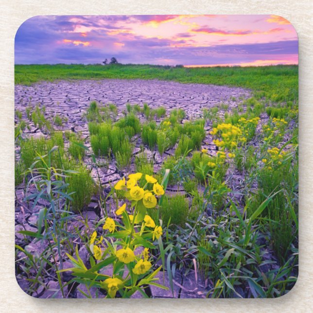 Porta-copo Flores | North Dakota Red River Valley (Frente)