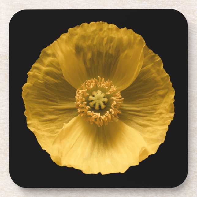 Porta-copo Flores | Papoila amarela (Frente)