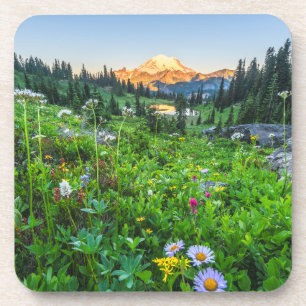 Porta-copo Flores Parque Nacional Monte Rainier