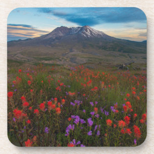 Porta-copo Flores Pincel-da-índia