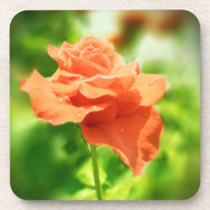 Porta-copo Flores Românticas de Rosa #2