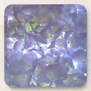 Porta-copo Flores roxas roxas, poeiras, empoeiradas