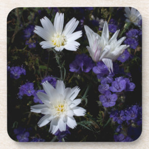 Porta-copo Flores Silvestres Chicória e Phacelia