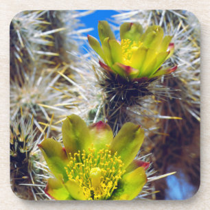 Porta-copo Flores Silvestres de Cacto Cholla Prateado