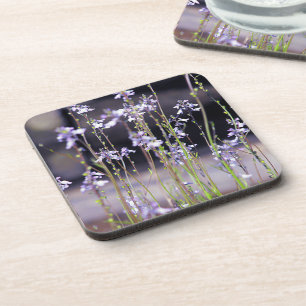 Porta-copo Flores Silvestres de Lavanda