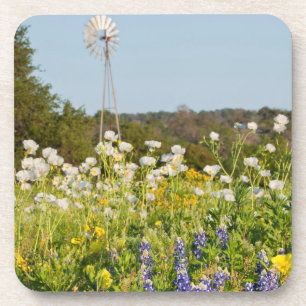 Porta-copo Flores Silvestres e Moinho de Vento no Texas Hill