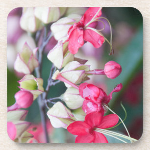 Porta-copo Flores Tropicais Vermelhas Rosa e Branca
