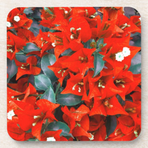 Porta-copo Flores vermelhas vibrantes do Bougainvillea