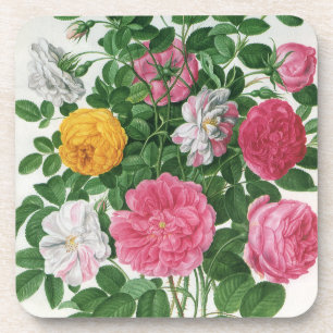Porta-copo Flores Vintage Blooming, Rosas Primavera