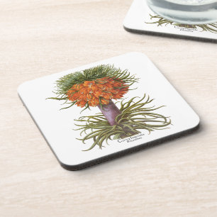 Porta-copo Flores Vintage de Fritillaria Laranja Basilius Bes