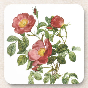 Porta-copo Flores Vintage Floral Rosa Vermelha do Amor por Re