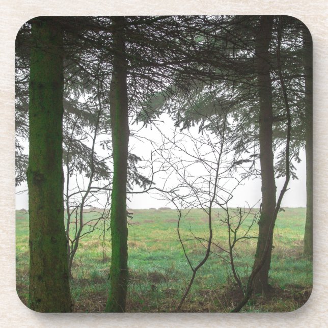 Porta-copo Floresta com vista para a clareira no nevoeiro (Frente)