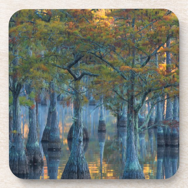 Porta-copo Floresta de Ciprestes de Lagoa (Frente)