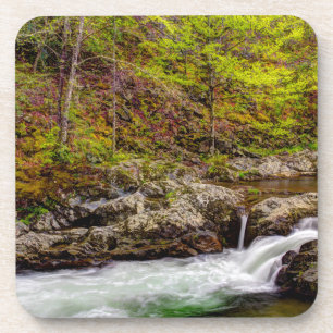 Porta-copo Floresta do riacho nas Grandes Montanhas Fumegante