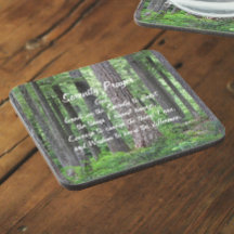 Floresta Evergreen da Serenidade Inspiradora