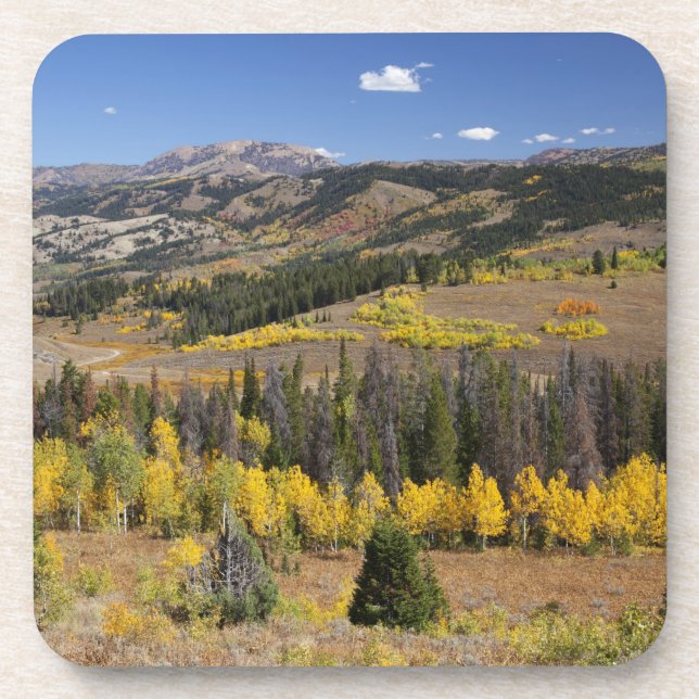 Porta-copo Floresta Nacional de Bridger-Teton (Frente)
