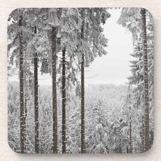 Porta-copo Floresta verde no inverno (Frente)