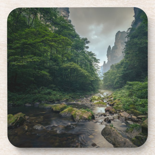 Porta-copo Florestas | Parque Nacional Florestal Zhangjiajie (Frente)