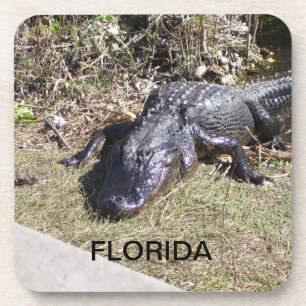 Porta-copo Flórida Alligator Descendo em Everglades
