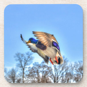 Porta-copo Flying Mallard Duck Drake Wildlife Foto