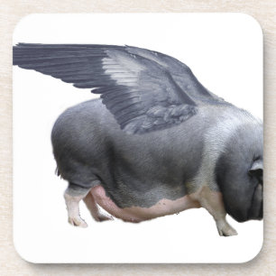 Porta-copo flying pig