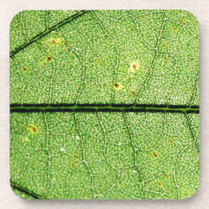 Porta-copo Folha Verde Extreme