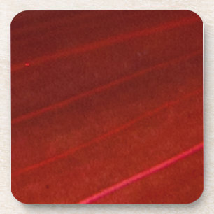 Porta-copo Folha Vermelha Variegada Havaiana 4