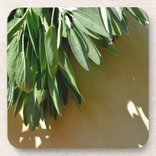 Porta-copo Folhas de ervas verdes e botânicas elegantes