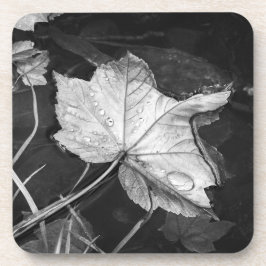 Porta-copo Folhas de queda em preto-e-branco