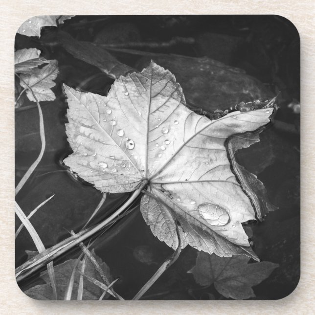 Porta-copo Folhas de queda em preto-e-branco (Frente)