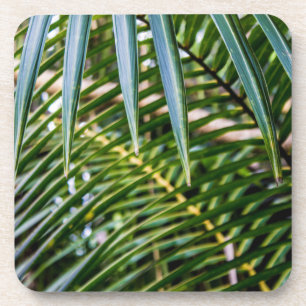 Porta-copo Folhas tropicais verdes