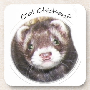 Porta-copo Foto De Ferret Rosto Tem Galinha?