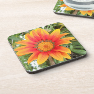 Porta-copo Foto de Flor Laranja Única